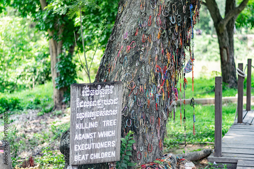 Obraz na plátně Killing tree at choeung ek genocidal center in phnom penh, cambodia, bearing wit