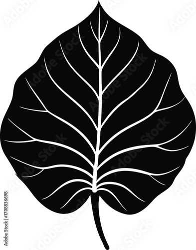 Alocasia Leaf Silhouette Illustration | Alocasia Leaf Outline