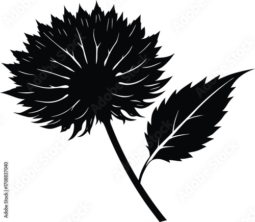 Burdock Leaf Silhouette Illustration | Burdock Plant Outline