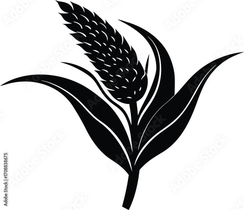 Millet Ear Silhouette Illustration | Millet Plant Outline