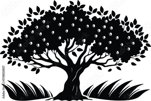 Olive Tree Orchard Silhouette Illustration | Olive Tree Outline
