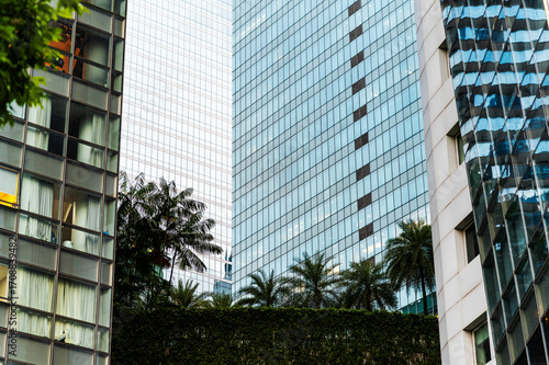 Palm trees and hedges beneath reflective skyscrapers