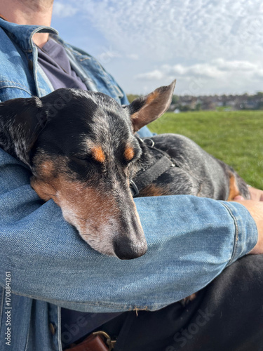Park Cuddles