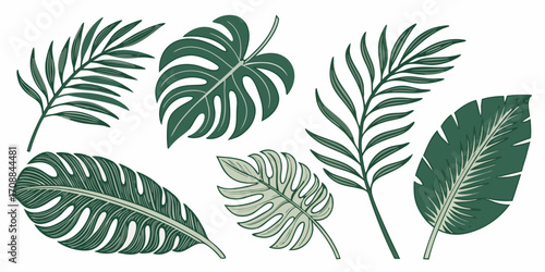 Collection of tropical palm and monstera leaves in a silhouette style isolated on white background