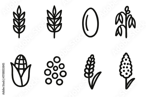 Minimalist silhouette icons: wheat, oats, rice, corn, and grains collection