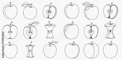 A set of hand-drawn apple illustrations in various states: whole, with a leaf, sliced in half, and eaten to the core.