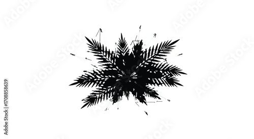 Abstract explosion of dark palm leaves against a white background