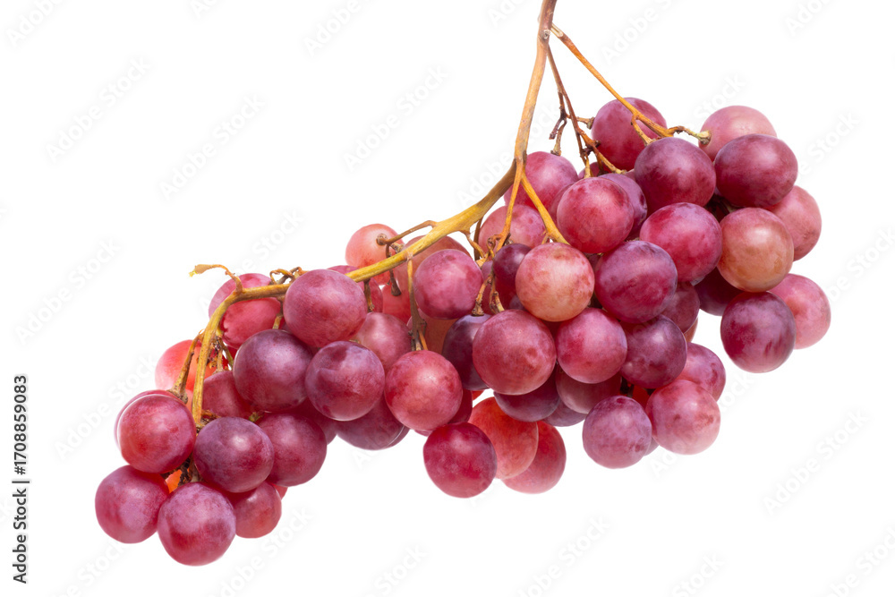 Fototapeta premium red grapes, png file