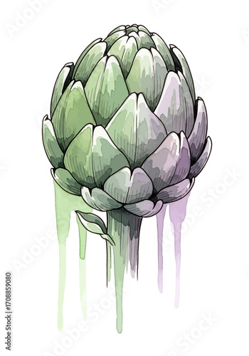 Watercolor illustration of a fresh artichoke with dripping green and purple hues, highlighting its edible nature and garden origins