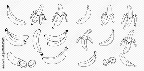 A collection of hand-drawn banana illustrations, showing whole, peeled, sliced, and bunched fruit in a simple line art style.