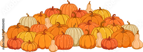 Pumpkin patch vector set. Bunch of autumn pumpkins. Hand drawn pumpkin squash in different colors and shapes.
