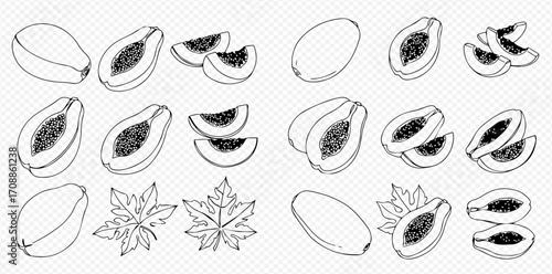 A collection of hand-drawn papaya illustrations, including whole fruit, halves, slices, and leaves, in a black and white sketch style.