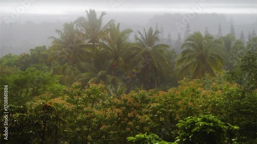 Wallpaper Mural Footage captures the serene beauty of a vibrant tropical rainforest in a Hawaiian botanical garden, featuring lush green foliage, towering palm trees, and a misty, atmospheric backdrop. Ideal for show Torontodigital.ca
