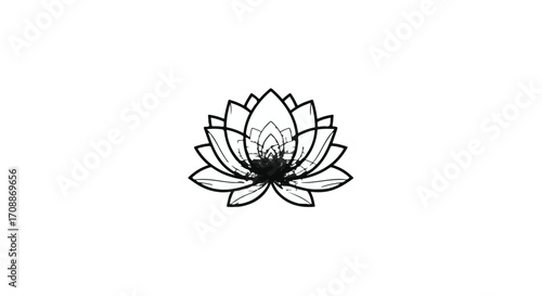 Elegant black and white lotus flower symbol of purity and enlightenment