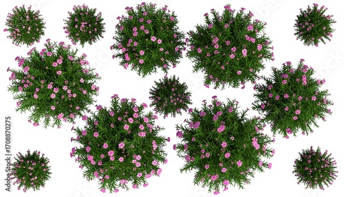 Fototapeta Naklejka Na Ścianę i Meble -  Top-down view of numerous potted plants