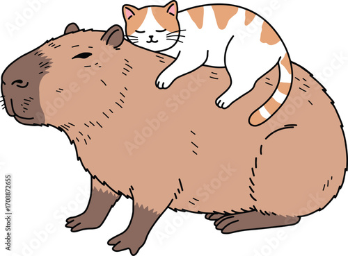 Cat Napping on a Capybara's Back A Cuddly Friendship