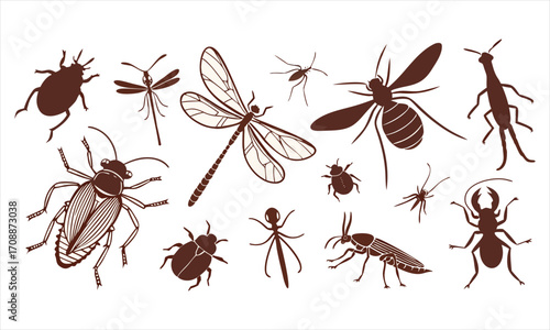 set of ants
