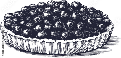 Blueberry tart sketch, hand drawn style with detailed berries and crust — stock vector