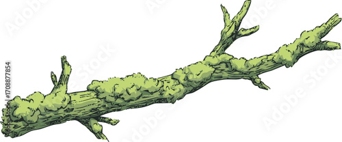 Tree branch sketch hand drawn with moss and lichen details — stock vector