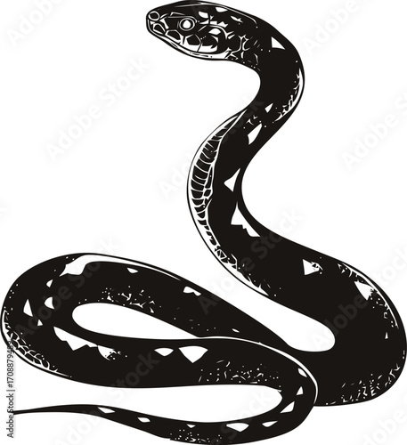 Snake sketch hand drawn style coiled serpent with detailed scales — stock vector