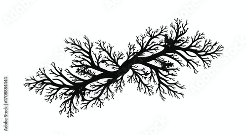 Intricate black fractal branching pattern on a clean white background, evoking growth and complexity