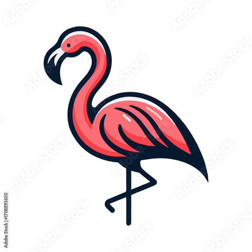 
flamingo illustration design