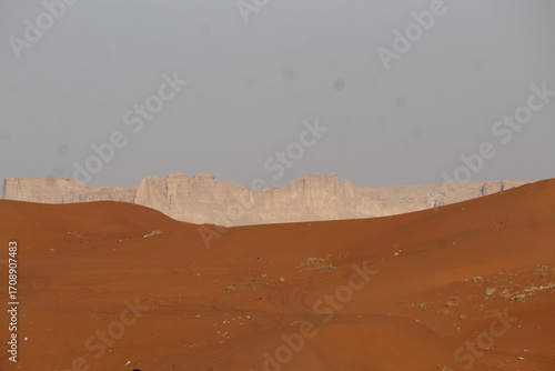Canvas-taulu sand dunes in the desert