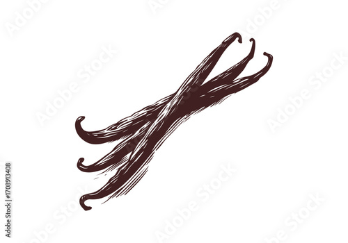 Vanilla Pod hand drawn sketch vector illustration
