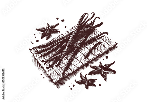 Vanilla Pod hand drawn sketch vector illustration