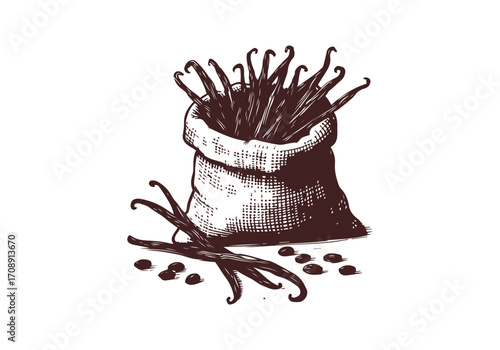 Vanilla Pod hand drawn sketch vector illustration