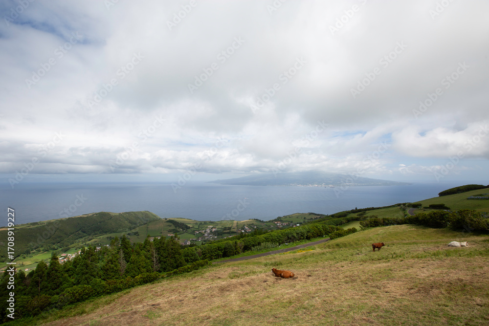 Obraz premium Faial, Azores, island, Portugal, View of the ocean and a hillside with cows grazing. The sky is cloudy and the ocean is calm