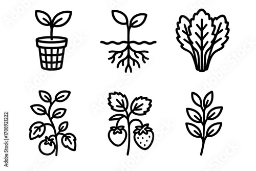 Gardening silhouette icon set. featuring plant growth, roots, lettuce, tomato, strawberry, and branch symbols