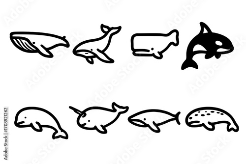 Sea life silhouette icon set. featuring whale, dolphin, orca, narwhal, beluga, sperm whale, and whale shark
