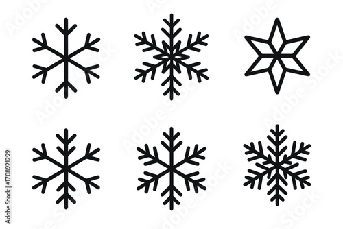 Winter snowflake silhouette icon set. featuring snow crystal patterns and geometric shapes