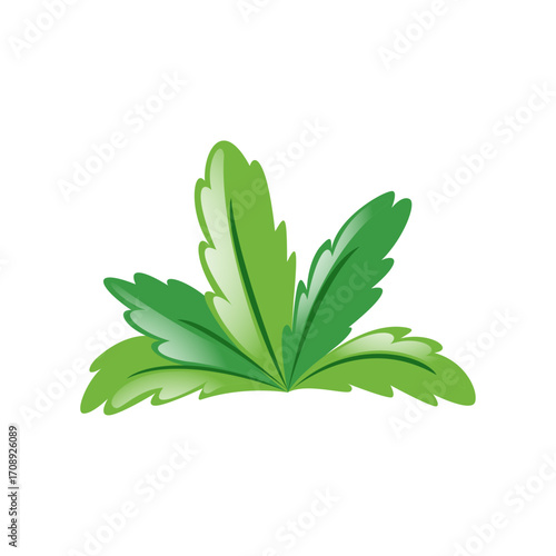 Fresh green botanical leaf illustration for natural wellness and herbal medicine