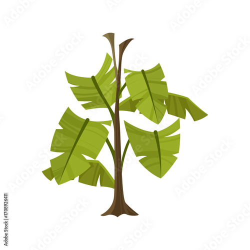 Vibrant Green Broadleaf Tropical Plant Vector Illustration on White Background