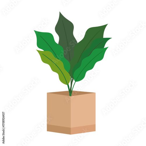 Isolated vector illustration of a decorative houseplant with broad green leaves in a pot