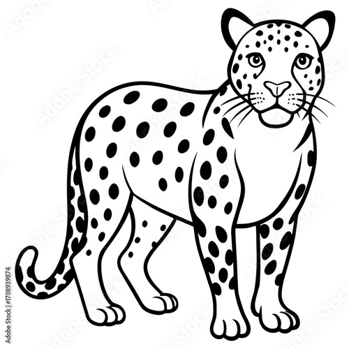 A black and white illustration of a spotted leopard standing gracefully isolated on white background silhouette