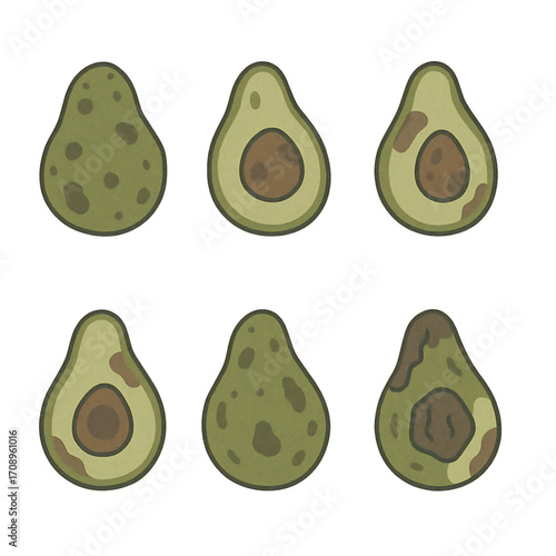 Rotten Avocado Cute Cartoon Vector Illustration, Avocado Decay Stages Flat Minimalist Vector Icons, Spoiled Avocado Fruit Hand Drawn Food Waste Illustration