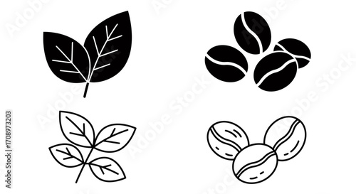 Minimalist vector illustration featuring coffee beans and leaves, perfect for designing cafe menus, product packaging, or promotional materials with a natural, organic aesthetic.
