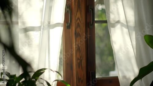Peaceful Window View