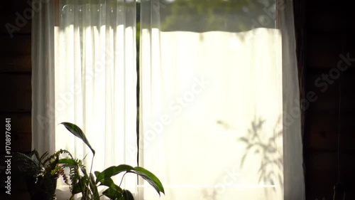 Morning Light Through the Window