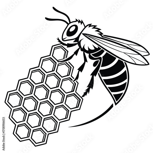 Bee on Honeycomb Illustration insect honeybee