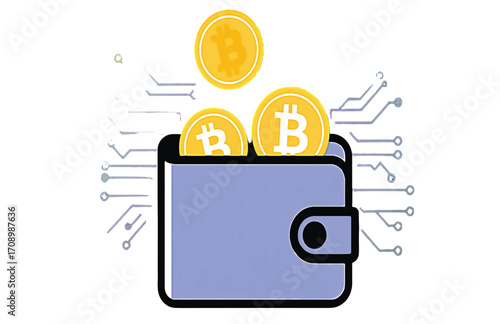 Digital Wallet with Bitcoin Secure Cryptocurrency Storage and Investment Concepts for the Future of Finance