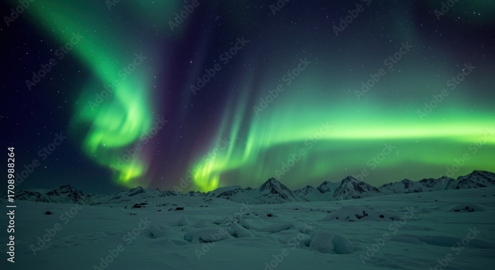 Naklejka premium Northern lights over snowy landscape
