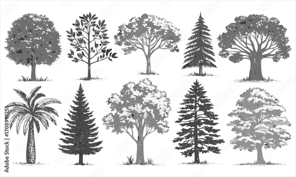Fototapeta premium set of trees