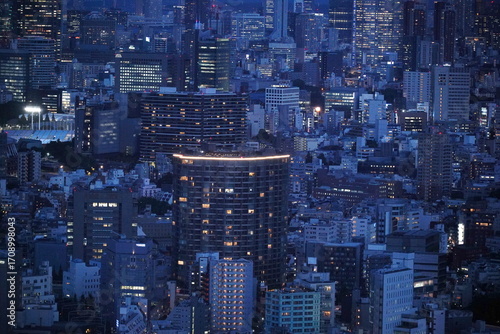 無数のビルが立ち並ぶ東京の夜景を捉えた写真。窓から漏れる明かりが都会のエネルギーを象徴し、近未来的な雰囲気を醸し出している。