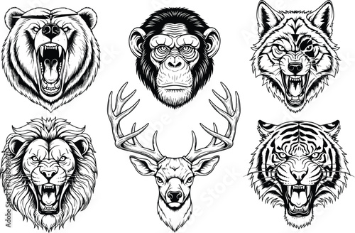 Powerful wild animal faces, roaring bear, fierce lion, majestic tiger, angry wolf, strong deer, chimpanzee portrait, wildlife illustration.
