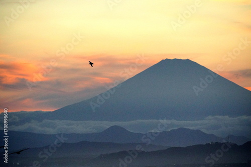 夕焼けの空を背景にシルエットになった富士山を捉えた風景写真。悠然とそびえる富士山と空を飛ぶ鳥が、自然の雄大さを感じさせる。
