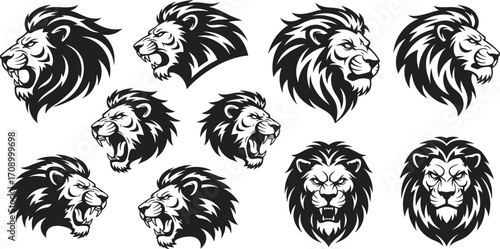 Lion head vector illustration set, roaring and calm lion face logos, tribal tattoo design, wild animal graphic art collection